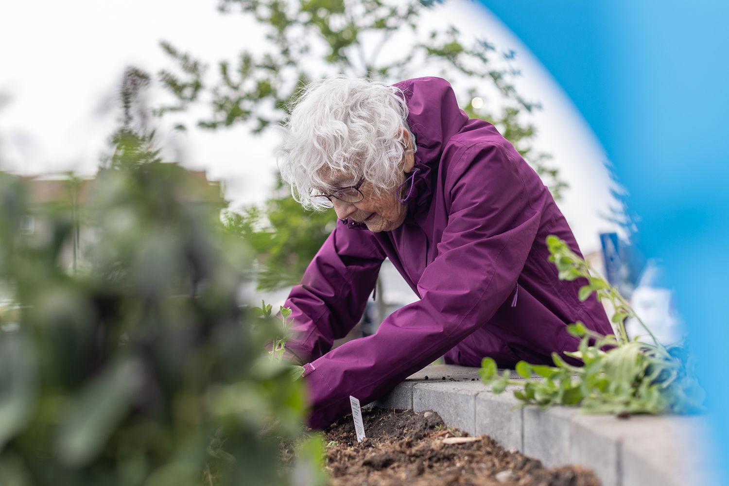 resident tending to garden